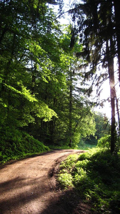 Gaestezimmer Waldblick Wimbach Екстер'єр фото